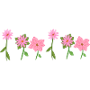 Pink Flowers Line Plants