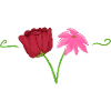 Two flowers pink red