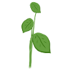 Leaves Plant Nature Symbol