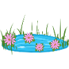 Pond Puddle Nature Flowers Water