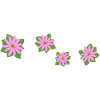Four flowers pink