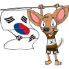 South Korean Chihuahua