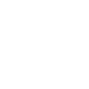 Cat - Cactus - Flower Pot