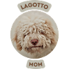 Lagotto Mom