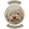 Lagotto Romagnolo
