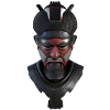 Samouraï master warrior