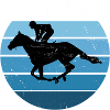 Equestrian Dressage Show Jumping