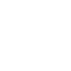 Accountant Mode ON
