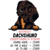 Ohne Dachshund ist alles doof