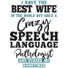 Speech Therapist Therapy Assistant