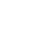 Pilot Flugzeug