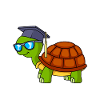 Appelez-moi Master 2023 Master Master