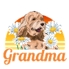 Cockapoo Dog