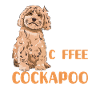 Cockapoo Chien