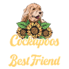 Cockapoo Dog