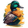 Duck Portrait