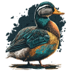 Duck Illustration