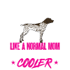 German Shorthair GSP Dog