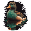 Duck Reflecting in Water