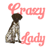 Deutsch Kurzhaar GSP Hund