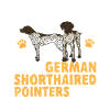 German Shorthair GSP Dog