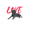 Labrador