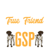 German Shorthair GSP Dog