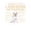 Labrador