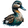 My Duck is Your Duck