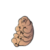 Touch As A Tardigrade Bärtierchen