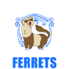 Ferret lover Ferret Gift