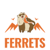 Ferret lover Ferret Gift