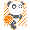 Panda Basketball Child