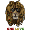 Lion Rasta, Reggae