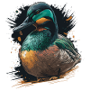 Duck Hunter Gift