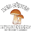 Les cèpes m’appellent