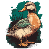 Ente für Entenjäger