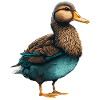 Ducks are Birds