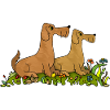 Hunde