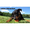 Hündchen