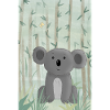 Koala Konrad