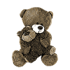 Teddy Bear Teddy Bear Cartoon Teddy bear Motif