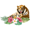 Tiger, Tropical Animal, Big Cat