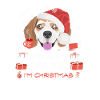 Beagle Weihnachtsmarkt