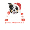 Border Collie Weihnachtsmarkt