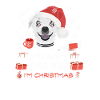 Chihuahua Christmas Market