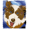 Loki Bear