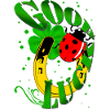 GOOD LUCK Horseshoe Clover Ladybug