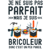 Parfait bricoleur