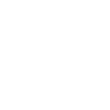Riesa